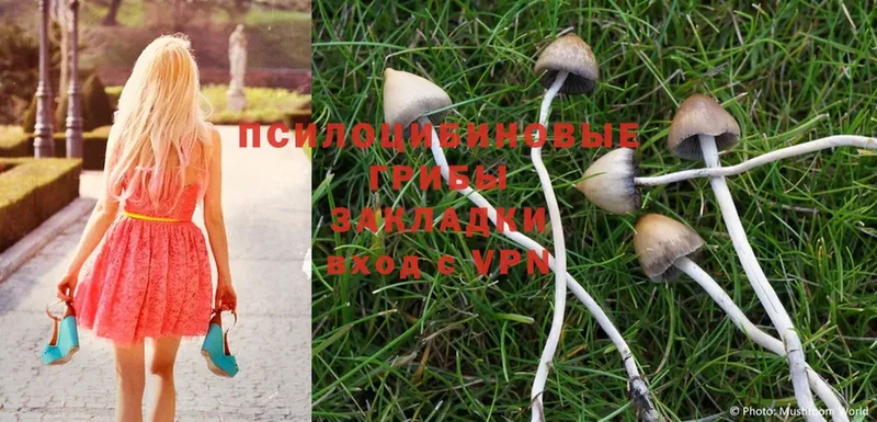 Галлюциногенные грибы MAGIC MUSHROOMS Татарск